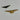 Border War South African Airline Pilot Wing lot