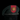 Operation Just Cause US 7th Special Forces Group Major’s Beret - Bennett Estate