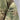 Bush War Rhodesian Brushstroke Jacket with Insignia